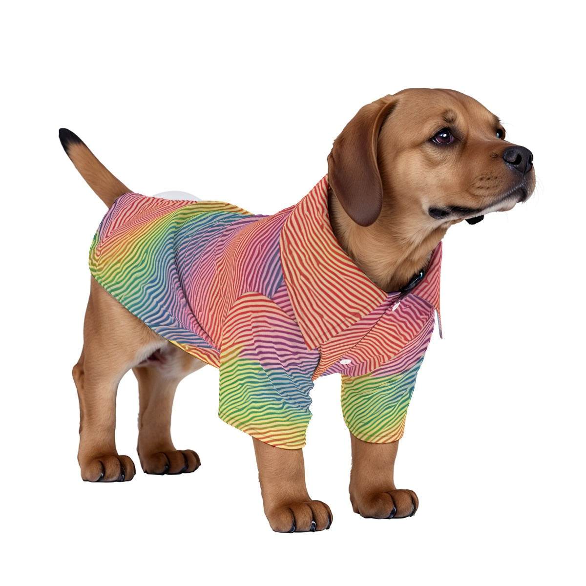 Rainbow Hawaiian Shirt | Hoodies4Hounds | Shop Dog Clothing - Hoodies4Hounds