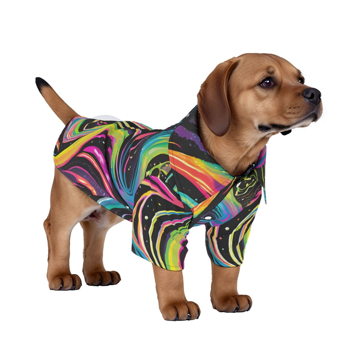 Get Funky Hawaiian Shirt | Hoodies4Hounds | Shop Dog Clothing - Hoodies4Hounds