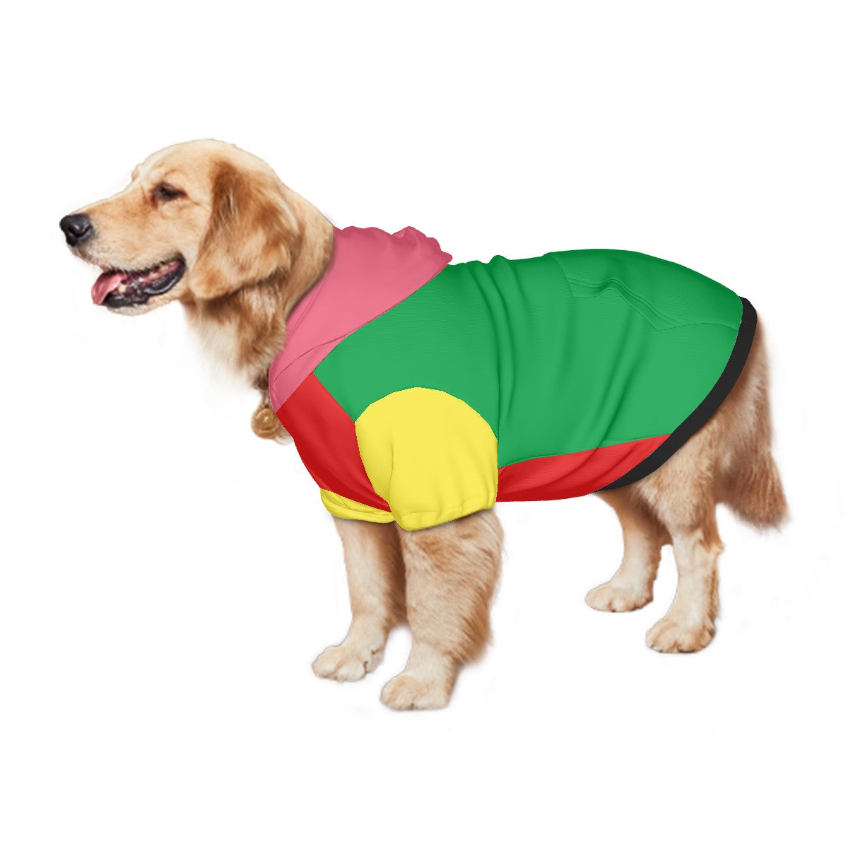 Multicolor Hoodie | Hoodies4Hounds | Shop Dog Clothing - Hoodies4Hounds