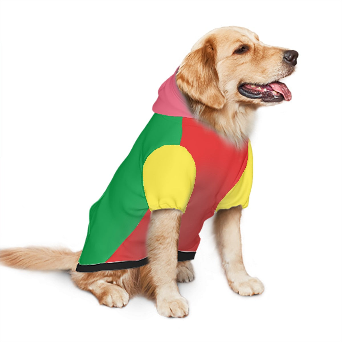 Multicolor Hoodie | Hoodies4Hounds | Shop Dog Clothing - Hoodies4Hounds